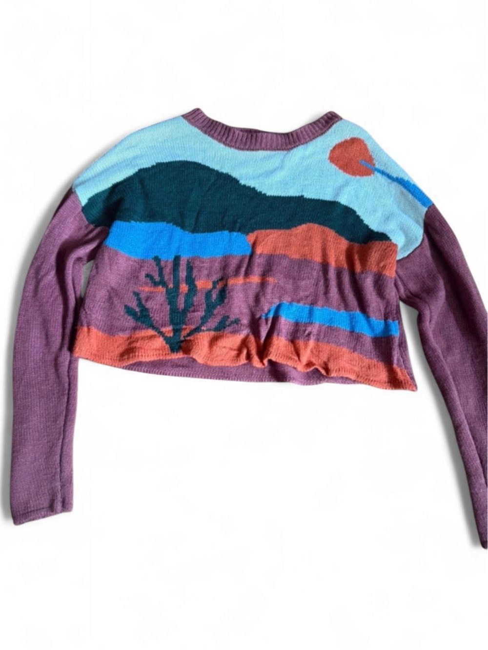 Madden NYC Cropped Desert Scene Knit Sweater w Sun Mountains M Southwestern
